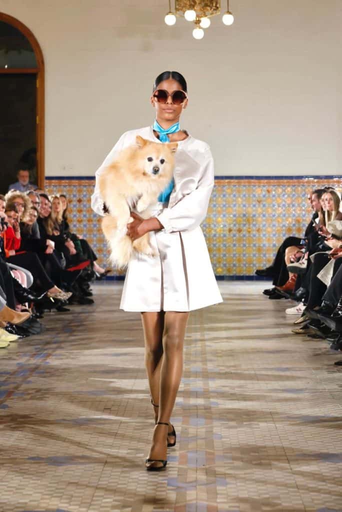 Miguel Llopis en la Mediterranean Fashion Week